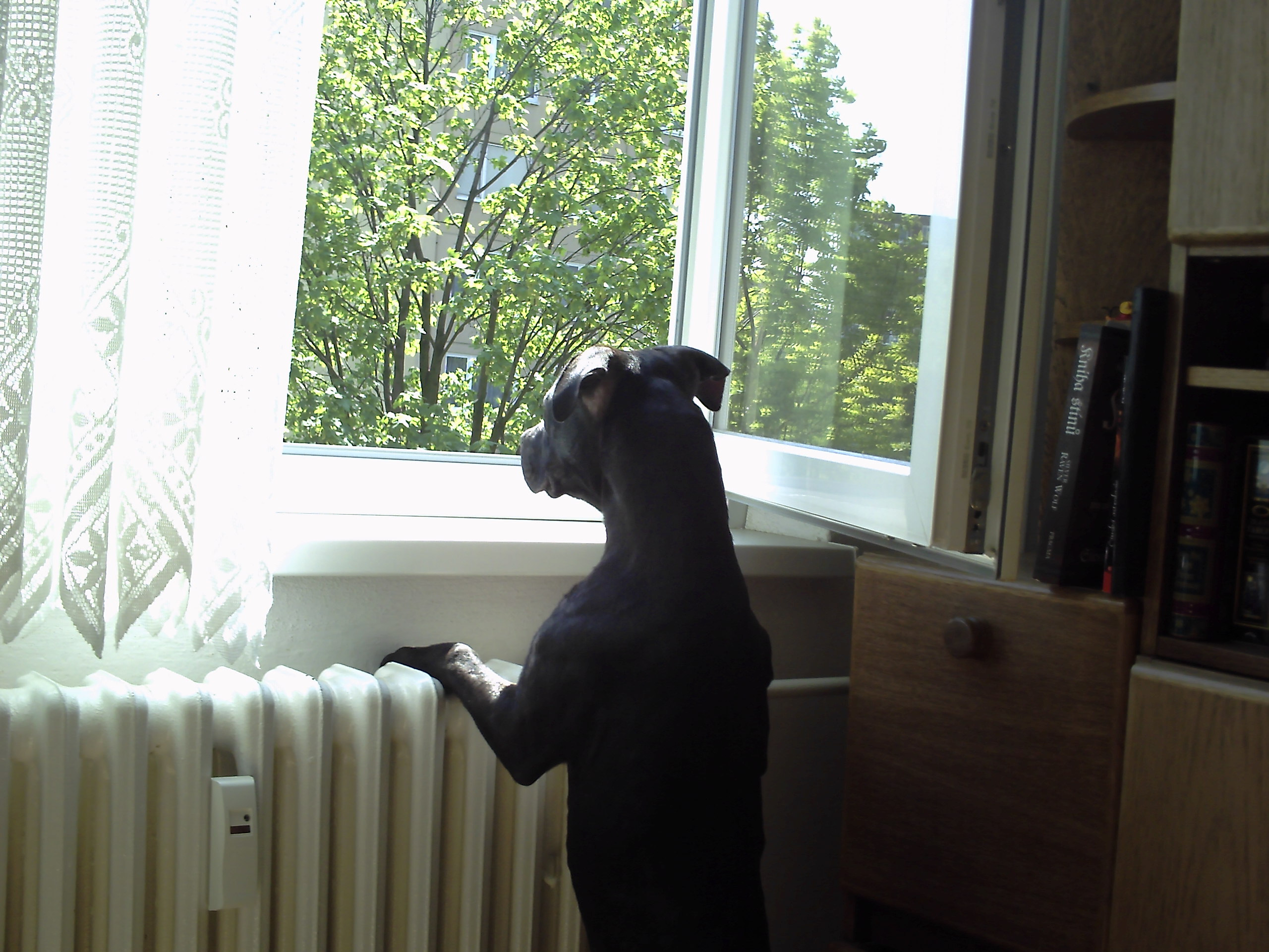 PICT0010.JPG